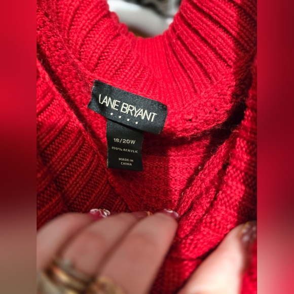 🍂🍁Lane Bryant 18/20w Beautiful Sweater - Picture 4 of 4